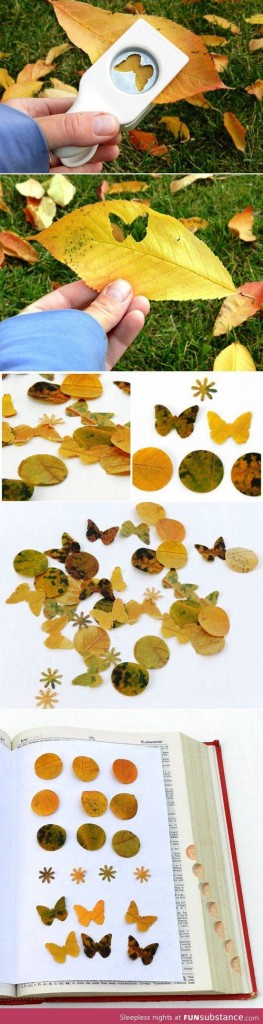 Perforadoras de formas decorativas con hojas de árboles