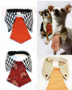 Accesorios mascotas: collar para perros con corbata vieja